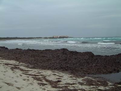 DSCF0080.JPG